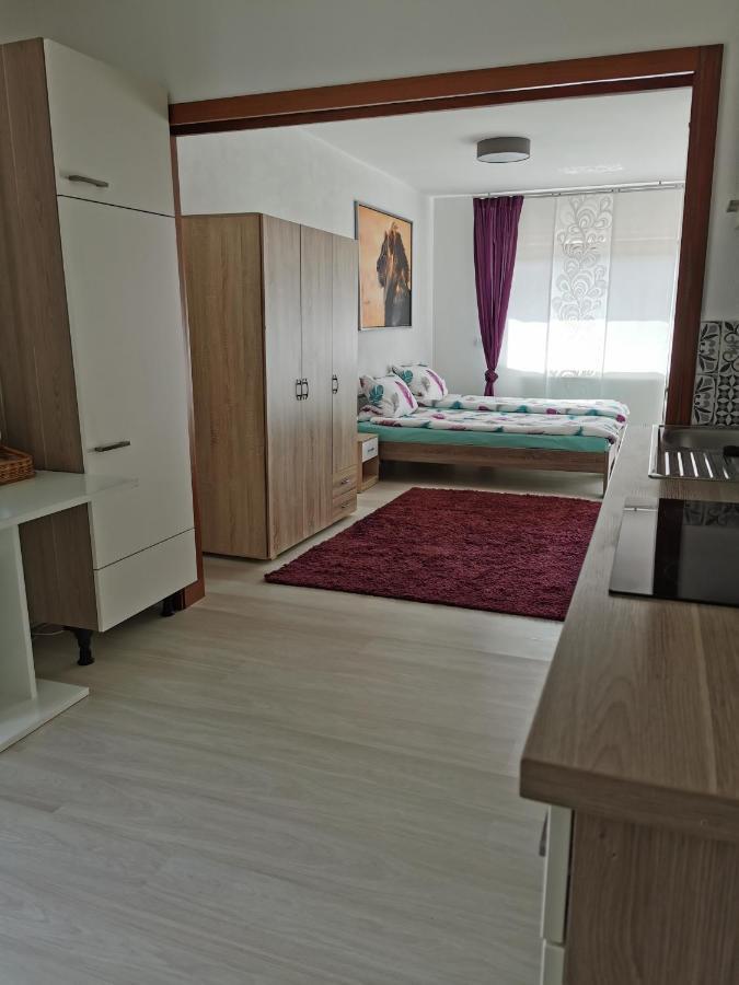 La Casa Suciu Apartman Forchtenberg Kültér fotó