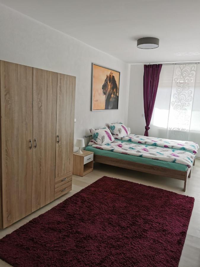 La Casa Suciu Apartman Forchtenberg Kültér fotó