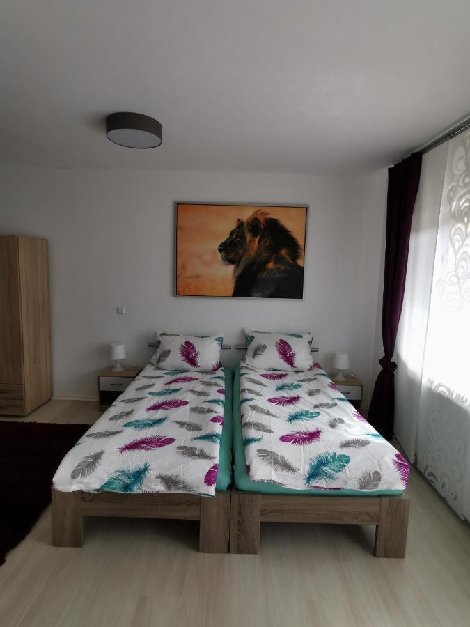 La Casa Suciu Apartman Forchtenberg Kültér fotó