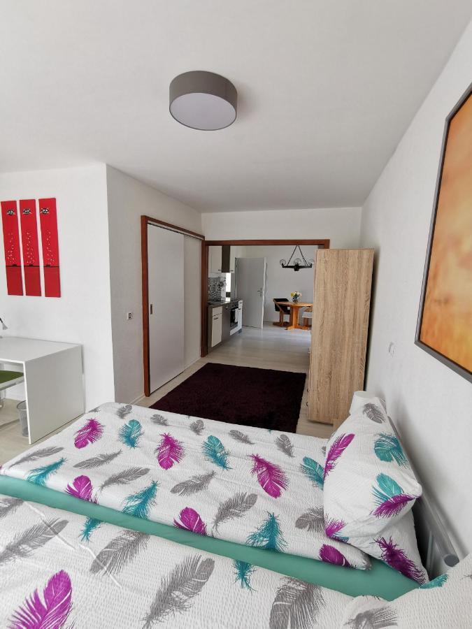 La Casa Suciu Apartman Forchtenberg Kültér fotó